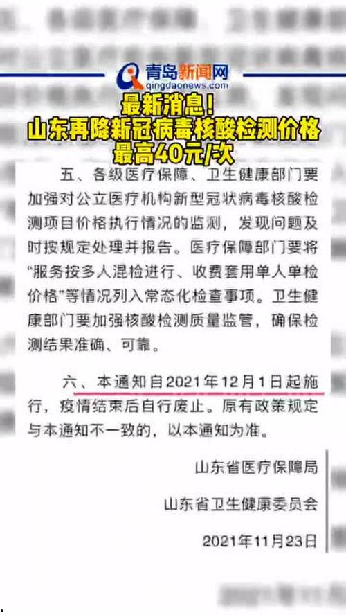 核酸价格爆料最新消息,核酸价格动态调整，最新行情一览